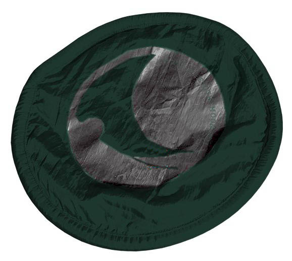 Ticket to the Moon frisbee Pocket dark green